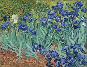 Van Gogh Irises