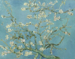 Almond Blossom, 1890 (oil on canvas)