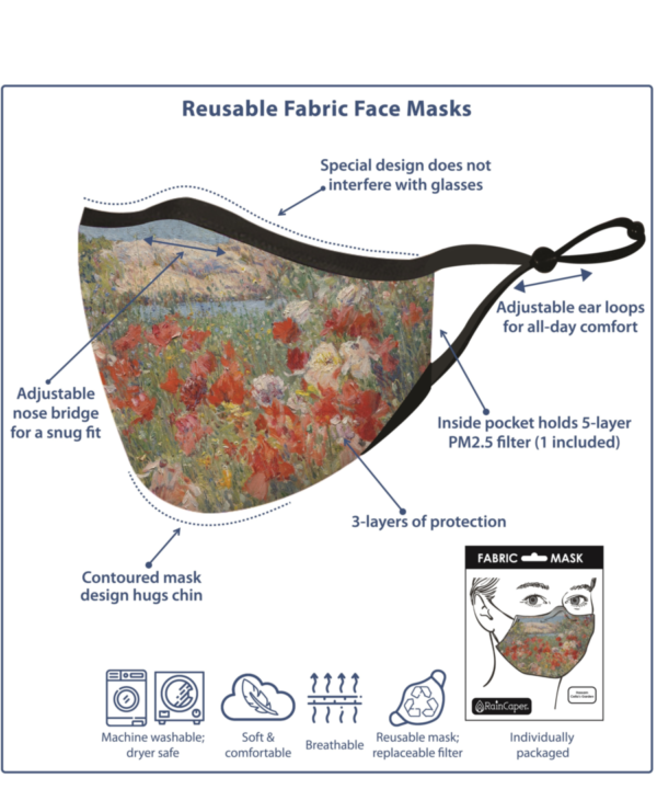 Reusable Fabric Face Mask Infographic